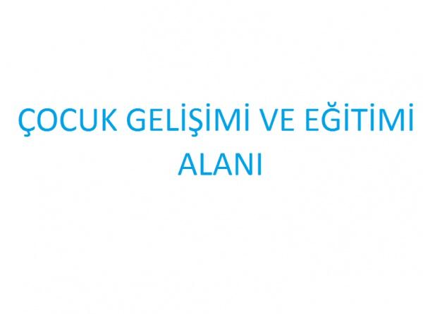 Çocuk Gelişimi ve Eğitimi Alanı